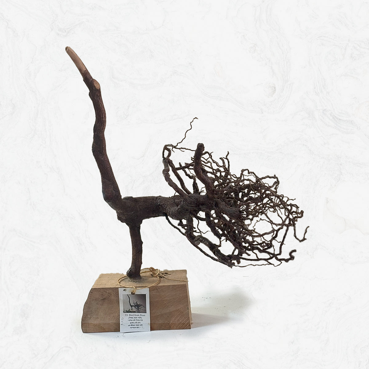 Bird From Root
